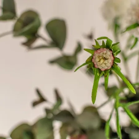 Life - Idromassaggio Nel Centro Storico 锡耶纳