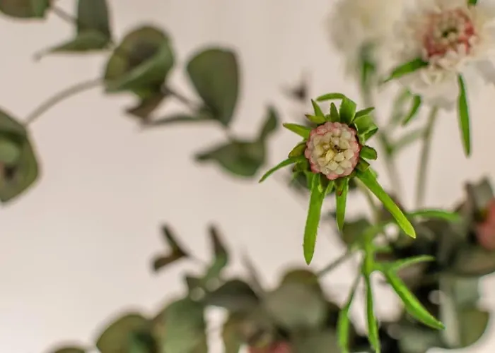 Life - Idromassaggio Nel Centro Storico Σιένα